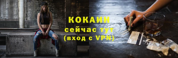 дживик Зерноград