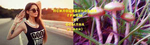 дживик Зерноград