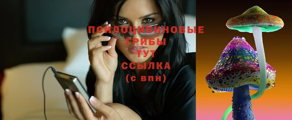 дживик Зерноград