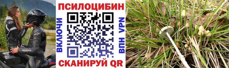 Галлюциногенные грибы мухоморы  Купить закладки  Архангельск 